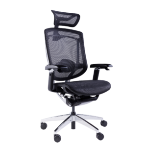 Marrit X Ergo Chair